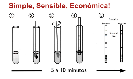 rota